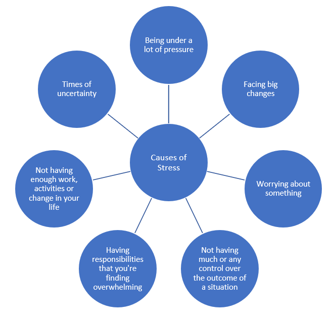 causes-of-stress-infographic